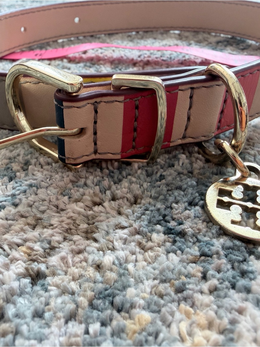 Tory Burch dog collar, multicolor - Picture 2 of 5